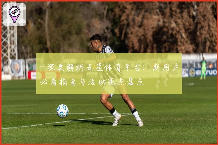 - 深度解析五星体育平台：新用户必看指南与活动亮点盘点