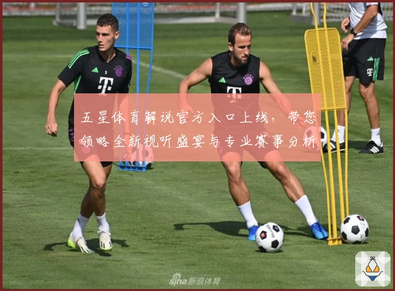 五星体育解说官方入口上线，带您领略全新视听盛宴与专业赛事分析