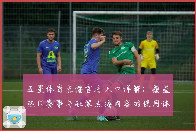 五星体育点播官方入口详解：覆盖热门赛事与独家点播内容的使用体验全攻略